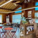 1816 | 또이엠1816 공주카페 로 유명한 이곳, 방문후기!