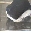 대원로-2 네이버블로그