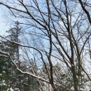 백둔리 주차장 이미지