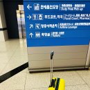 항공세탁 | 보라카이항공편 직항 티웨이항공 후기 피로는 메리하트 태반마사지로