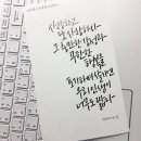 허밍버드