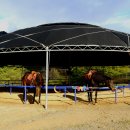 순천승마장 이미지