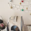 헬로그루밍 이미지