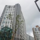 반도보라공인중개사사무소 이미지