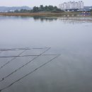 황금좌대 이미지