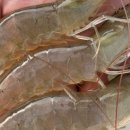 행순농장 이미지