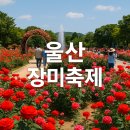 (여행.트레킹) 전국 유명 장미꽃 축제 댕겨 오세요 이미지
