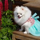 25시동물의료센터 이미지