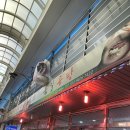 고기먹는날 | [청주 북일곰탕] 청주 화요일 고기 잡는 날 신선하게 먹는 육회비빔밥, 국밥 후기