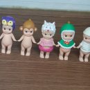 엔젤플라워 이미지