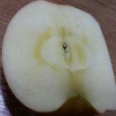 작은새재 이미지