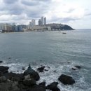 보양산업자원 이미지