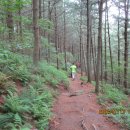 준·희선생님과 금정산 산행길2(장군샘, 저녁만찬/ 죽도공원, 해운대 블루라인파크) 이미지