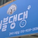 펫살롱 댕댕 이미지