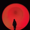 아르떼뮤지엄부산 | 아르떼뮤지엄 부산 후기 | 생각보다 더 몰입되는 전시 공간