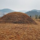 김극뉴 묘역 이미지