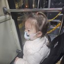 29개월 아기랑 나트랑 여행 베트남 항공 예매 오류 후기 및 시에스타 후기