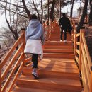 울렁다리펜션 이미지