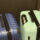 씨유제주제성마을점 | [제주] 농당 갑서양