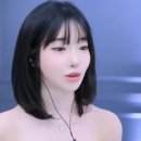 법무법인세연