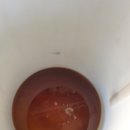 새벽카센타 이미지