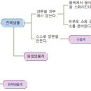 식물분류표(APG IV 분류 체계) 이미지