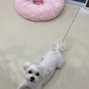 이건동물병원 이미지