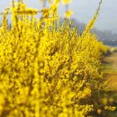 더휴한의원 이미지