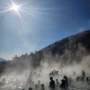 포레스트리솜 이미지