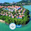 티리조트1 이미지