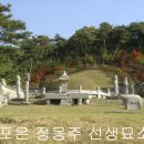 능원3리 Daum카페