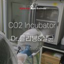 크린서포트 이미지