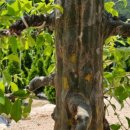 태림농원 이미지