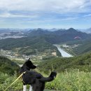 두산이네 애견샵 | 단양 패러글라이딩 뷰맛집 [카페산] 애견동반카페