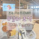 호주 시드니 이케아 템피 조식 Regular Breakfast 레스토랑 후기