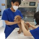 서울개공원 FACTORY 이미지