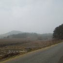 도일목장 이미지