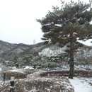 [일상] 함께한 2월 마무리 (24.02.21~02.29)