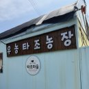 대서농장 | 파주 아기랑 가볼만한 곳_우농타조농장
