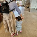 카페실버팟 | 오남저수지 카페 대형 브런치 카페실버팟 애견동반 가능