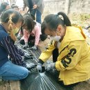 적량초등학교 이미지