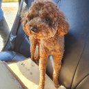 회현면사무소 이미지