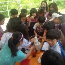 호산초등학교 이미지