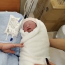 지엔산부인과