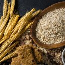 농업회사법인콩사랑(유) 이미지