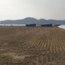 대산면910 이미지