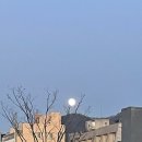 본도시락 광주광역시조선대점 네이버블로그