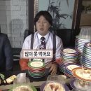 시현애견사랑 | 군바리핑과 글램핑