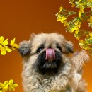 놀러오개(평택점) 이미지