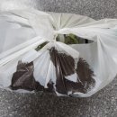 깐깐한족발 (하남점) | 깐깐한족발 광주 하남점 불족발 보쌈 배달 후기 내돈내산